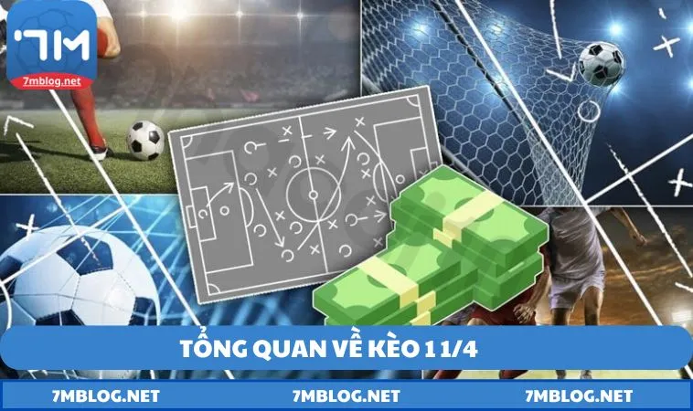 Tong quan ve keo 1 1 4 Tổng quan về kèo 1 1/4