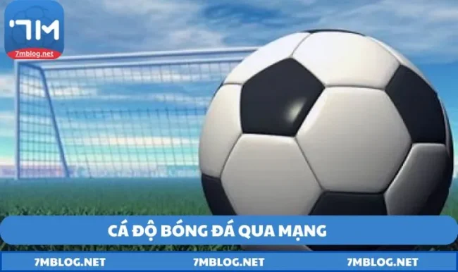 ca do bong da qua mang va nhung viec can luu y khi tham gia Cá độ bóng đá qua mạng