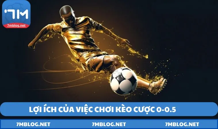 loi ich cua viec choi keo cuoc 0 0.5 Lợi ích của việc chơi kèo cược 0-0.5