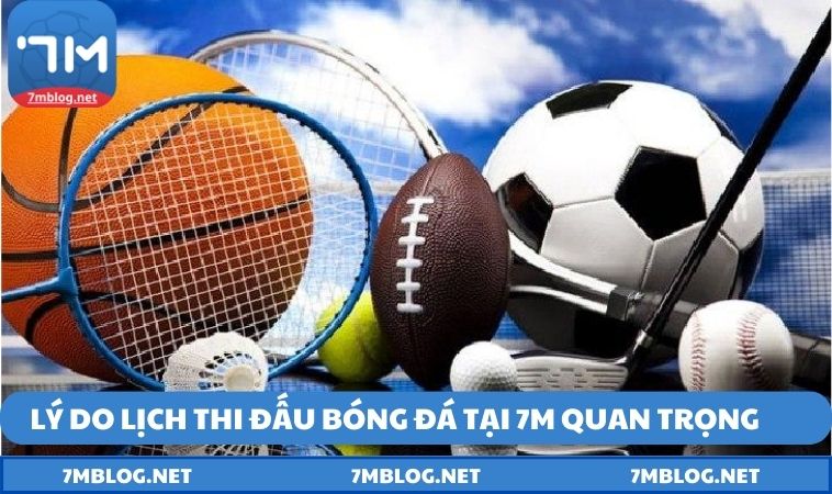 ly do lich thi dau bong da quan trong Lý do lịch trình bóng đá tại 7M quan trọng