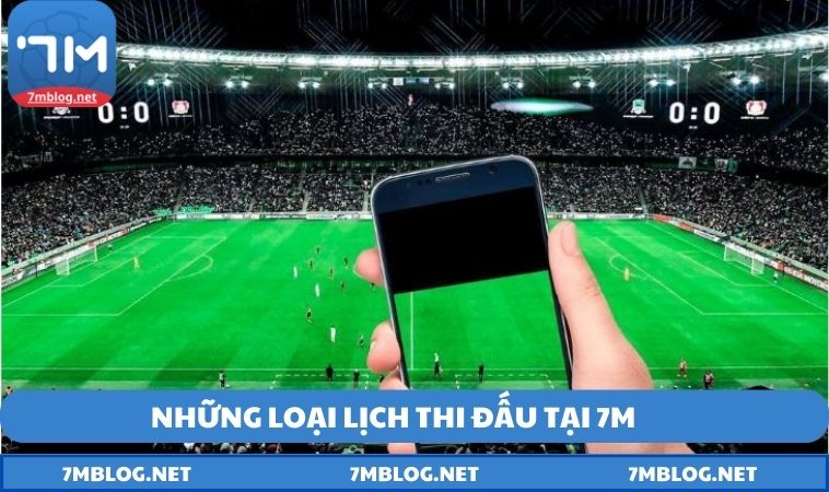 nhung loai lich thi dau Những loại lịch thi đấu tại 7M