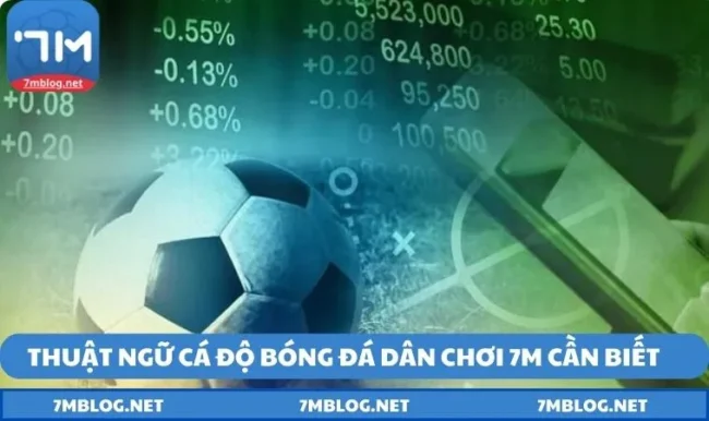 thuat ngu ca do bong da thuật ngữ cá độ bóng đá