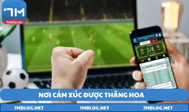ty le ca cuoc bong da Tỷ lệ cá cược bóng đá