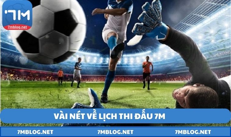 vai net ve lich thi dau Vài nét về lịch thi đấu 7M