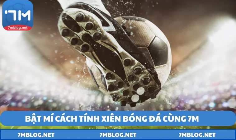 bo tui bi kip tinh xien bong da chinh xac nhat Bỏ túi bí kíp tính xiên bóng đá chính xác nhất