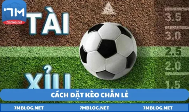 cach dat keo chan le cách đặt kèo chẵn lẻ