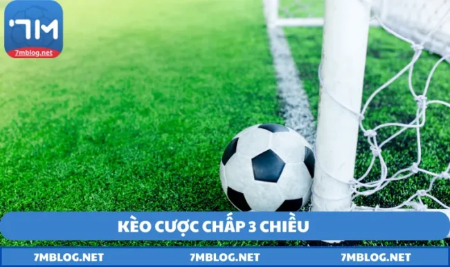 keo cuoc chap 3 chieu Kèo Cược Chấp 3 Chiều - Mảnh Đất Màu Mỡ Cho Cược Thủ 2025